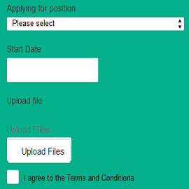 Job Application Form - SurveyVista