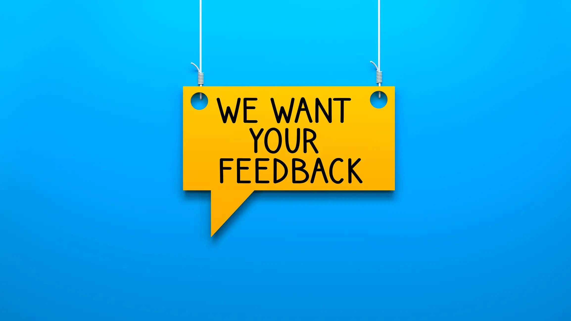 Creating Branded Surveys